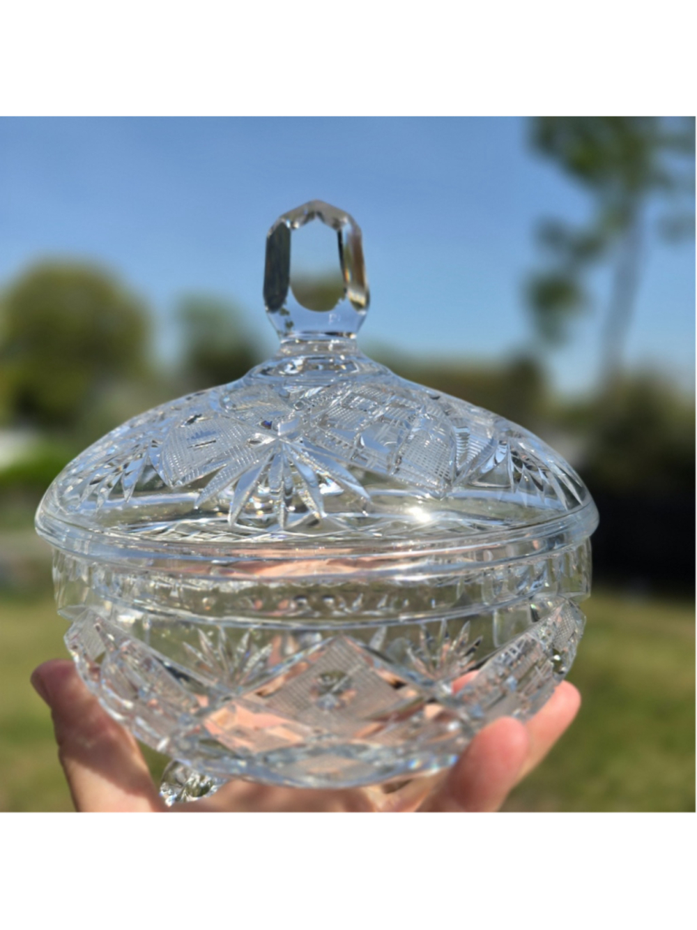 Stunning Hand Cut Etched Crystal Candy Bowl Cookie Dish Lid Footed Centerpiece7"